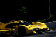 The #85 JDC Miller-MoterSports Porsche 963 during the Petit Le Mans - Source: Getty